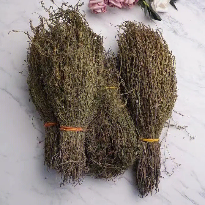 獨(dú)角金.png 獨(dú)角金.png