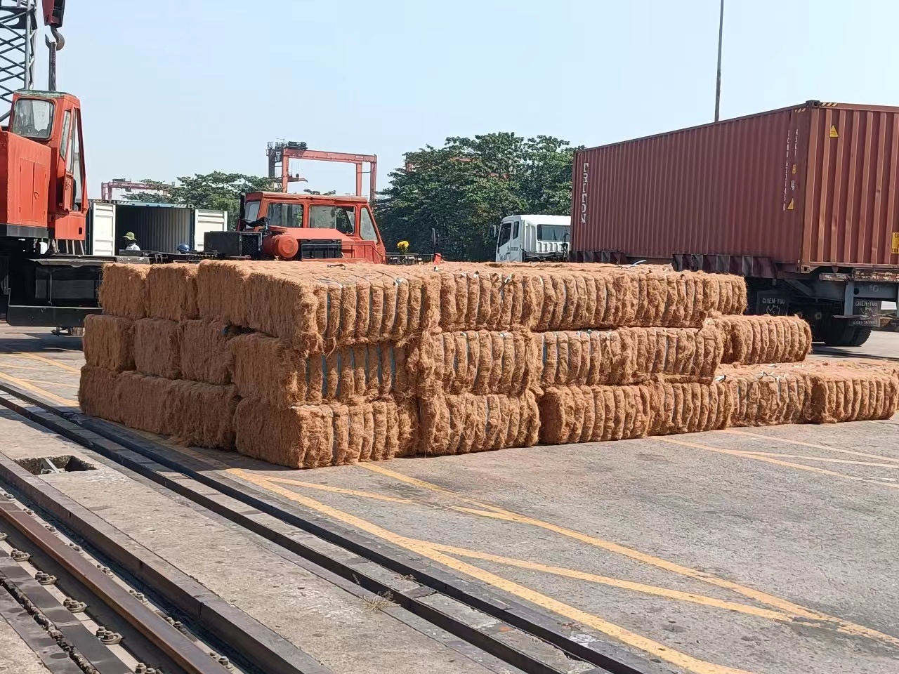 椰絲2.jpg 椰絲2.jpg