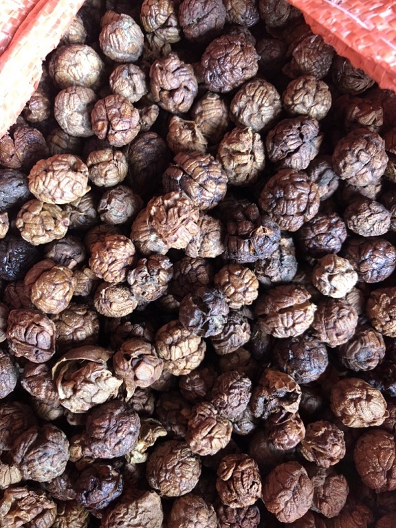 草豆蔻.jpg 草豆蔻.jpg