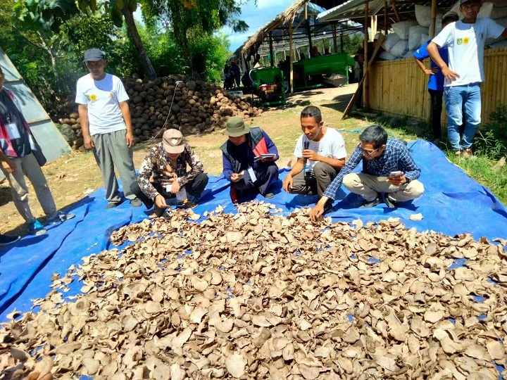 魔芋片.jpg 魔芋片.jpg