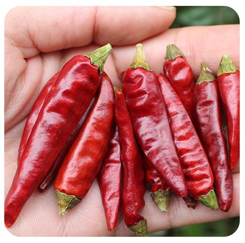 辣椒干.jpg 辣椒干.jpg